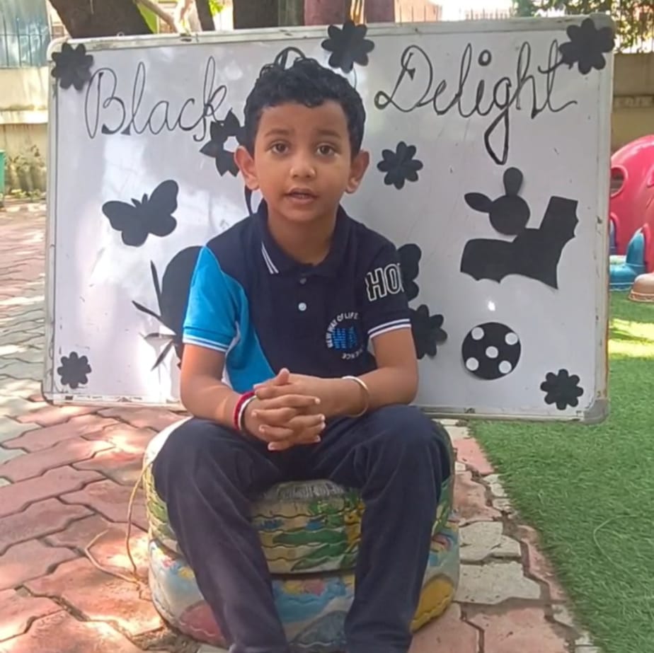 BLACK DAY DELIGHT